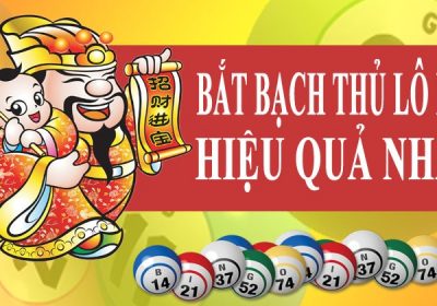 Bật mí cách bắt bạch thủ lô kép siêu hay